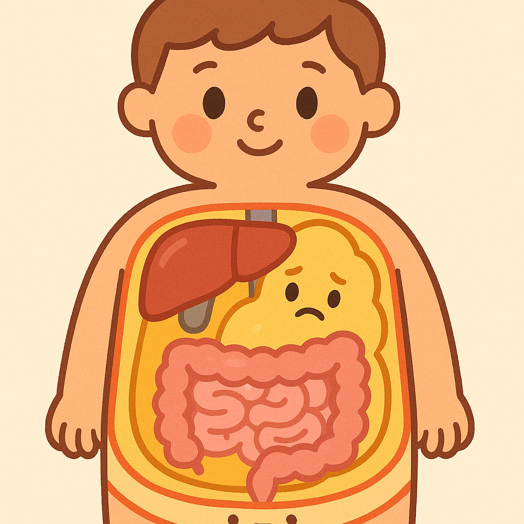 Visceral fat is the dangerous fat stored deep inside your belly, wrapping around important organs like your liver. The DASH diet helps reduce these unhealthy fat deposits.