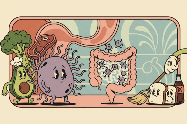 Illustration for How a Low-Carb Diet Actually Changes Your Gut Microbiome
